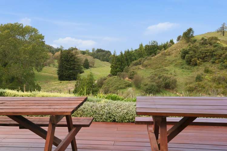 593 Waitomo Valley Road Otorohanga_12