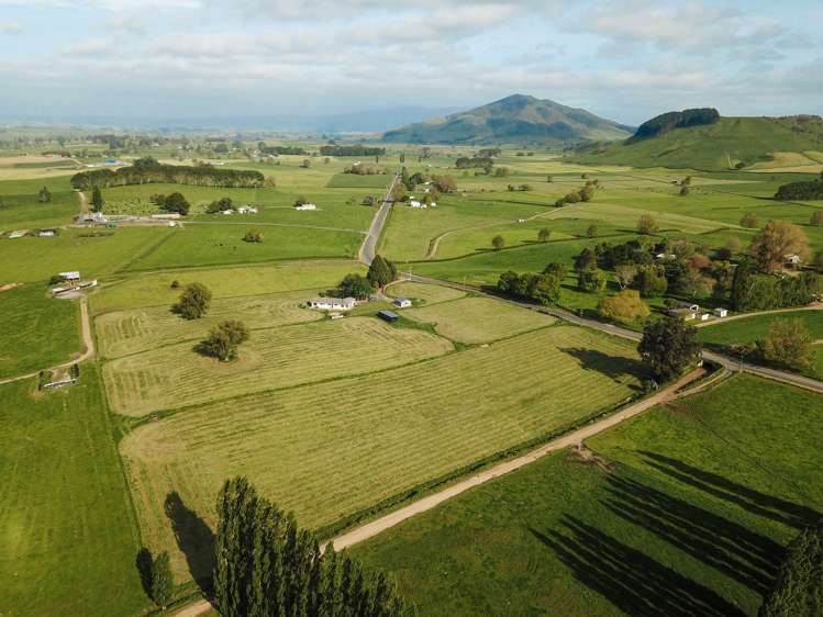 419 Te Kawa Road Te Kawa_20