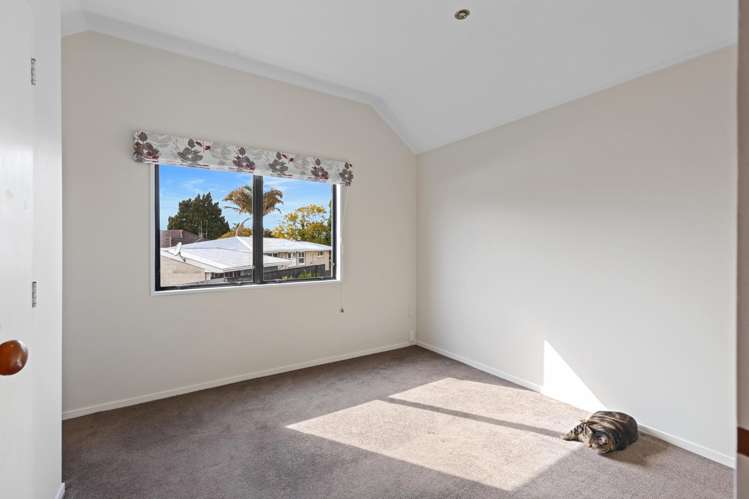 21b Burrows Street Tauranga South_14