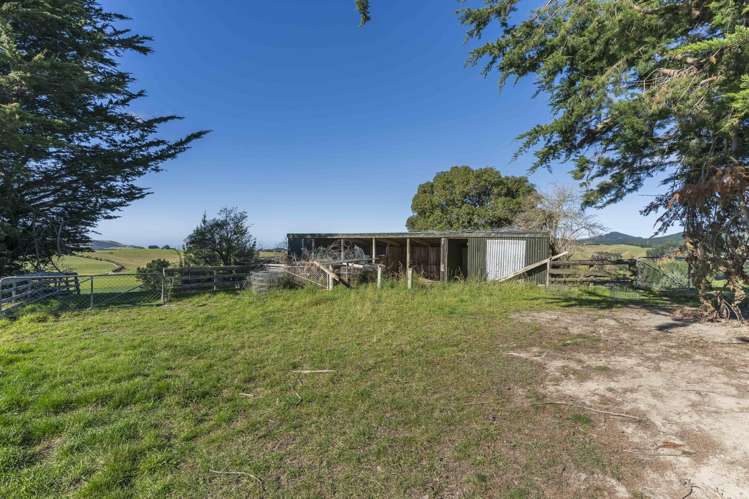 83 Duncan Road Hampden_18