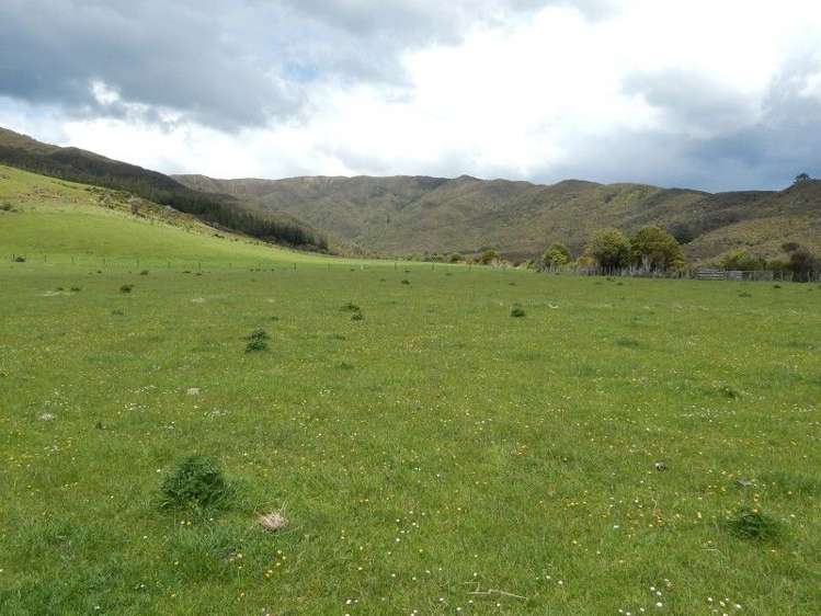 155a Marchant Road Kaitoke_3