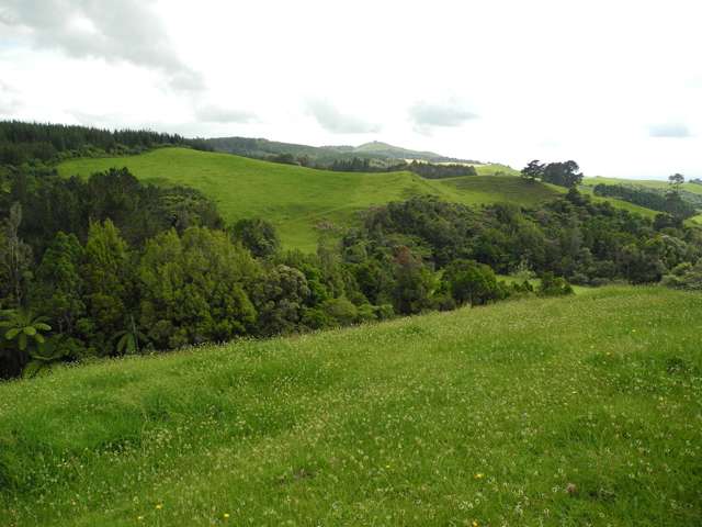 386 Te Tahi Road Puketotara_4