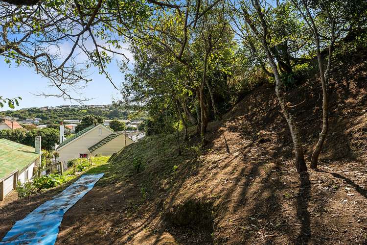 66 Darlington Road Miramar_16