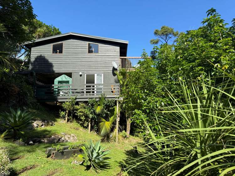 169 Shoal Bay Road Great Barrier Island_5