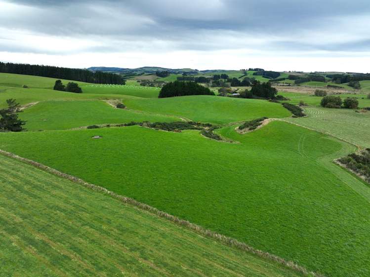 75/100 Crighton Road Waimahaka_5