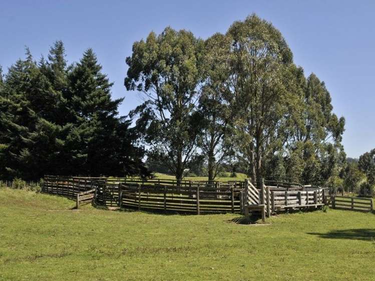 51 Kapukapu Road Hamurana_31