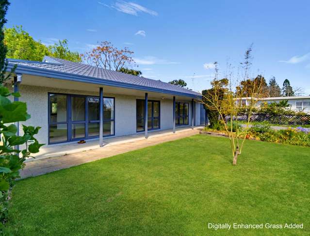 Sunlit Family Living with Space to Settle In