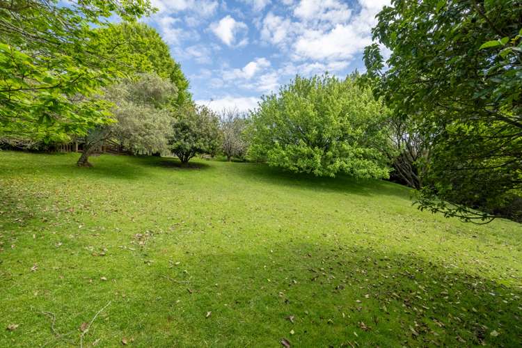 255 Point View Drive Dannemora_7