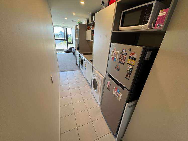 16 Burton Street Grafton_8