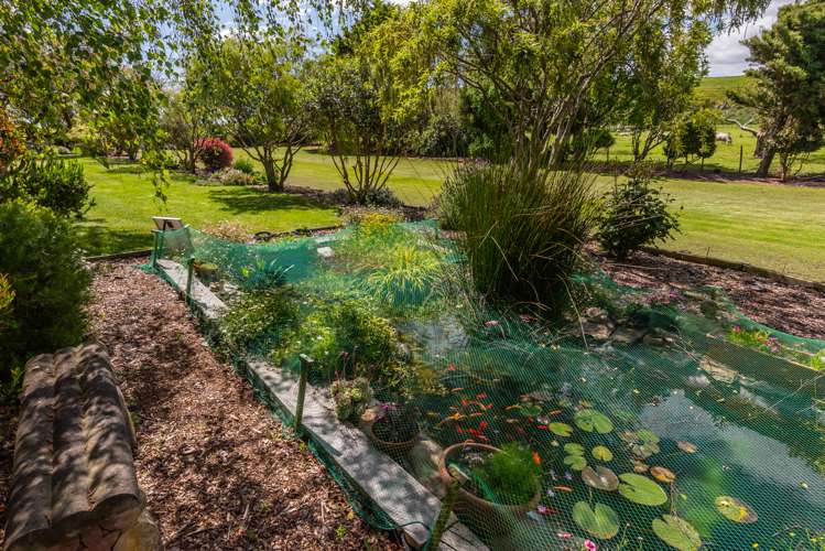 965 Koputaroa Road Koputaroa_5