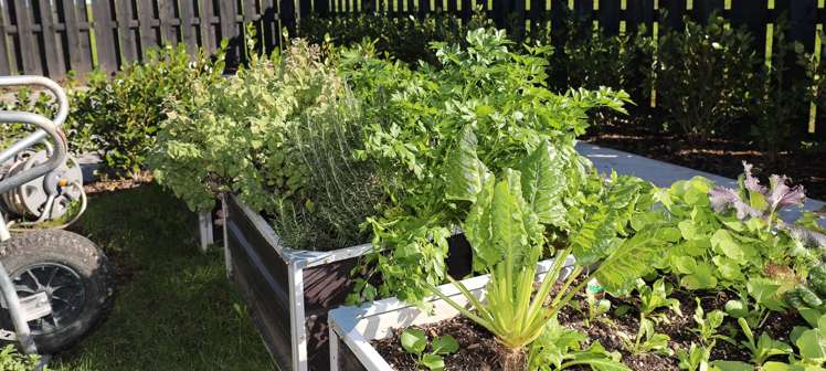 37 Pa Ariki Road Te Kauwhata_22