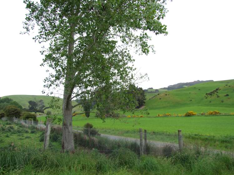 Glenledi Road Milton_5