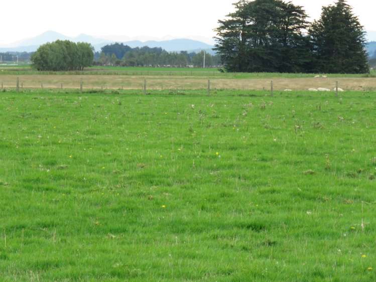 665 North Makarewa Grove Bush Road Makarewa_5