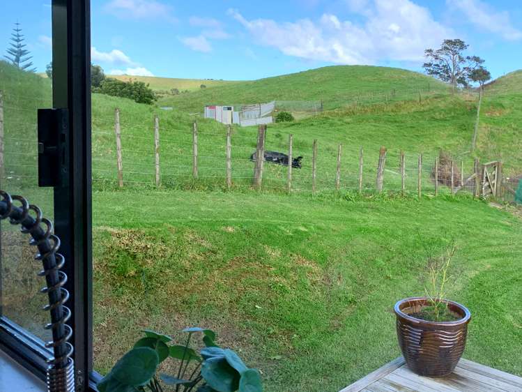 1339 South Head Road South Head_43