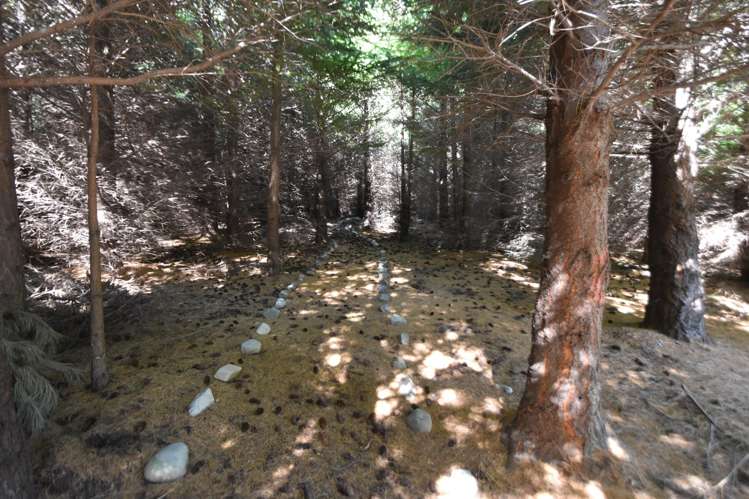 527 Manuka Terrace Twizel_17