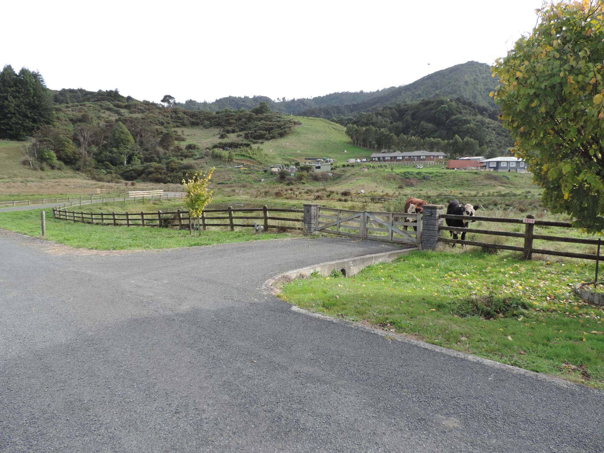 305d Hakarimata Road Ngaruawahia_0