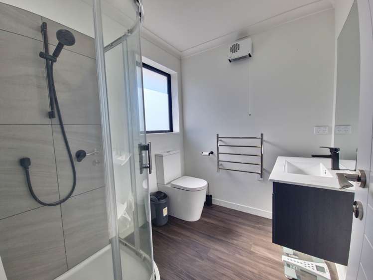 10 Havelock Street Renwick_14