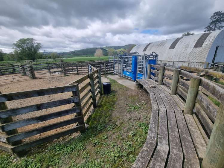 126 Tauraroa Valley Road Otorohanga_19