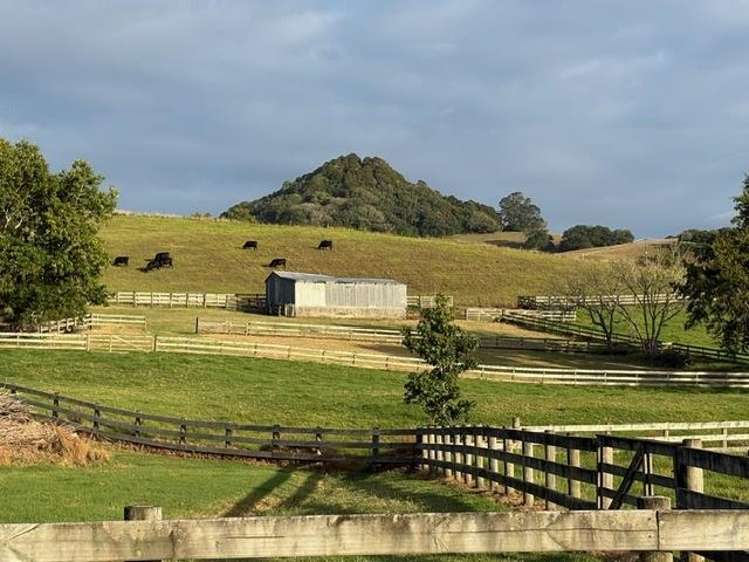 1166 Leigh Road Matakana_11