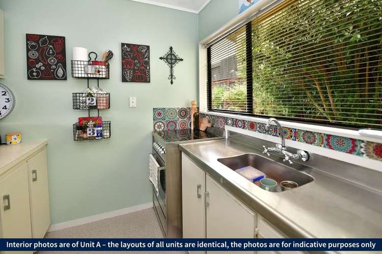 2/3 Miro Street Helensville_6