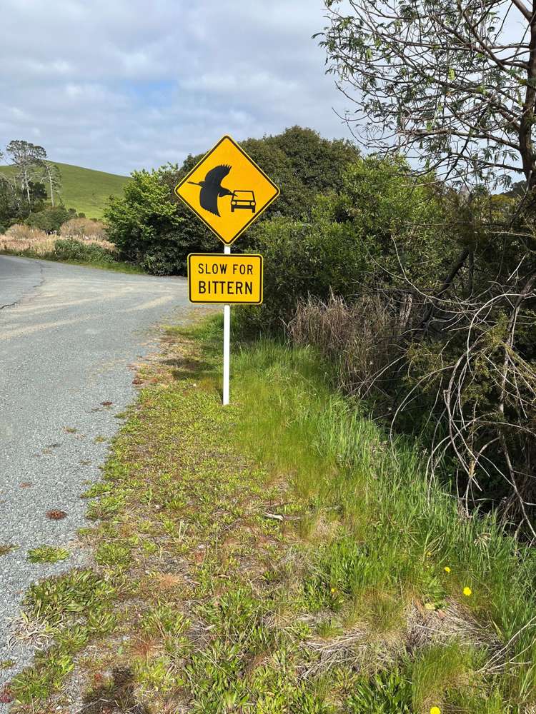 Lot 2 Doctors Hill Road Ruakaka_8