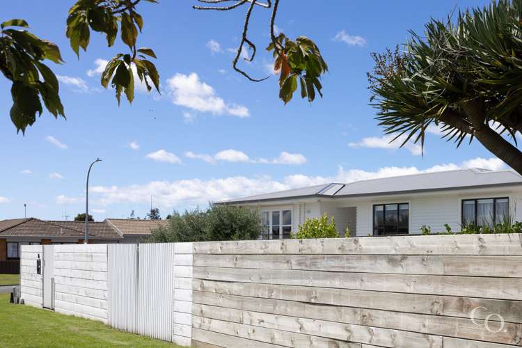 16 Mansels Road Greerton_33