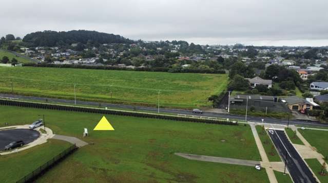 13 Te Ara Hikoi Pukekohe_2