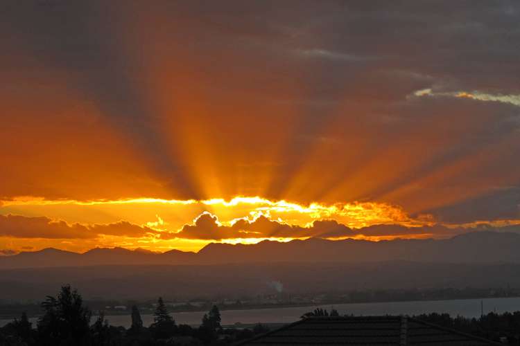 24 Somerset Terrace Stoke_16