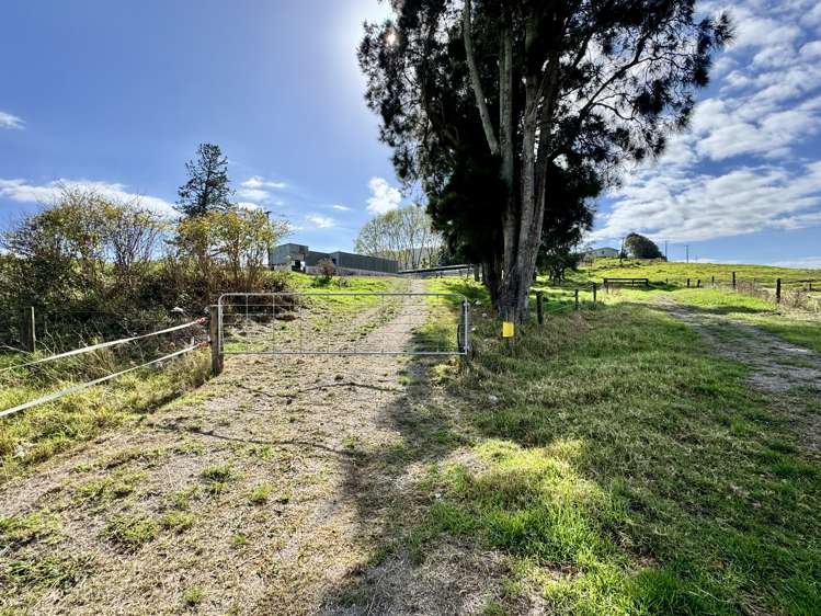 967 Golden Stairs Road Taipuha_5