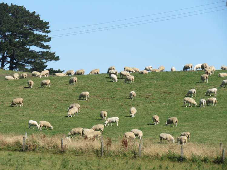 1138 Mataura Island-fortrose Road Waimahaka_9