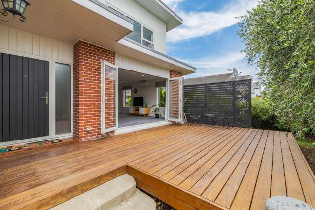 14 Mountfort Street Spreydon_2