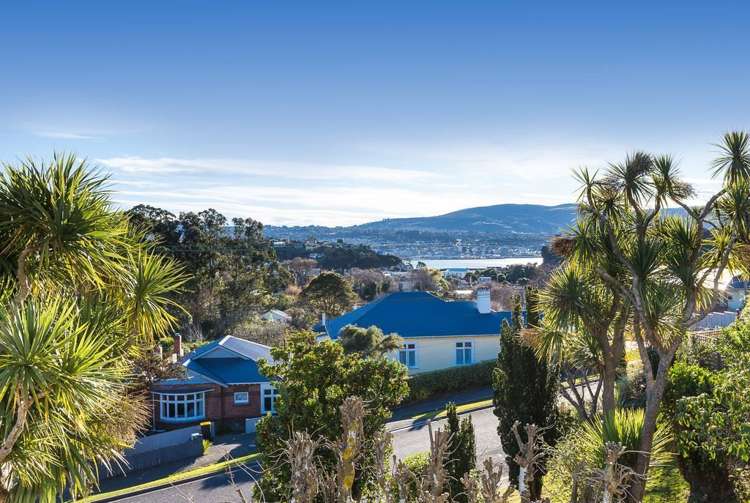 59 Spottiswoode Street Tainui_14