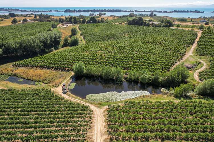 5 Lindup Road Lower Moutere_15