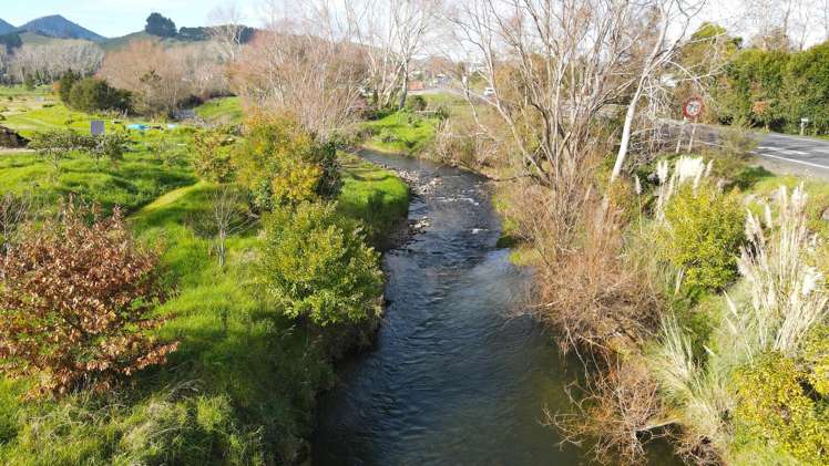 18 Neavesville Road Puriri_9