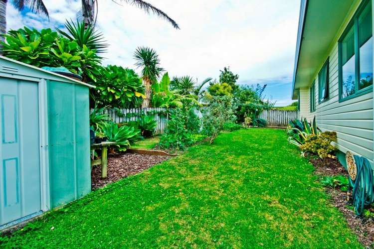 56 Rosier Road Glen Eden_4