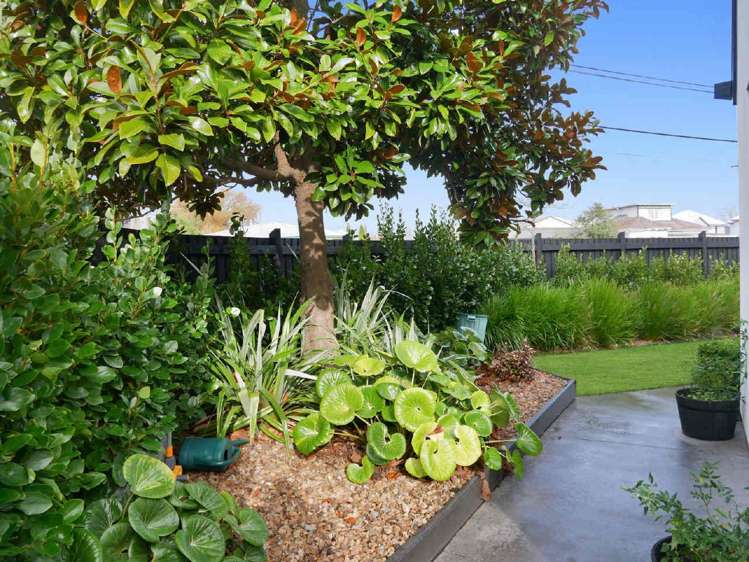 1 Allard Street Edgeware_18