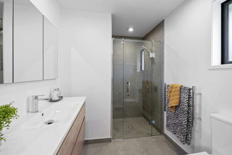 35 Sycamore Grove Lower Vogeltown_10