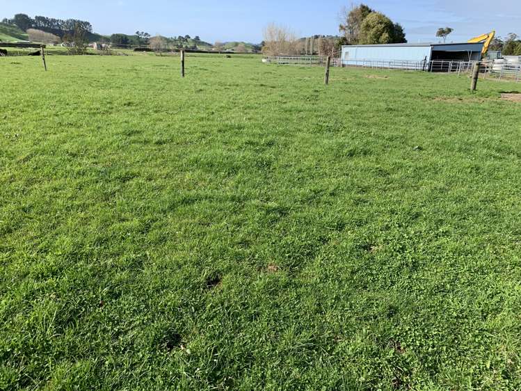 895 Bird Road Stratford_2