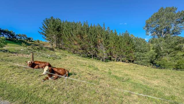 Lot 2,/368 Trig Road North Waihi_3