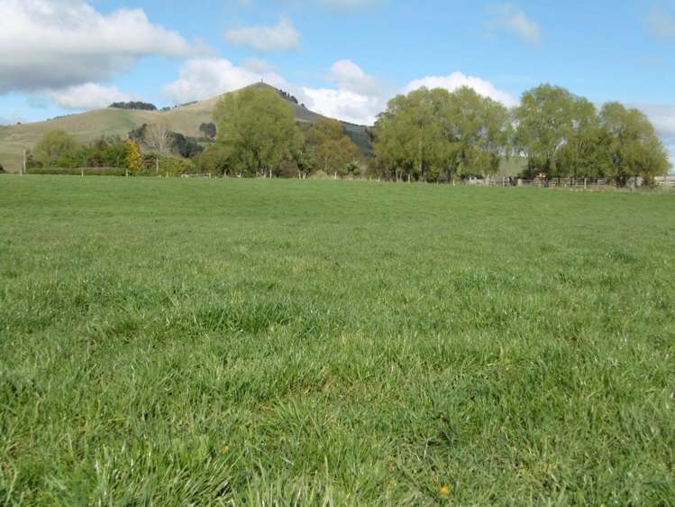 5326 Hampden-Palmerston Road Palmerston_13