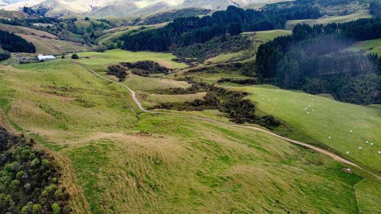 25 Mangamaire Road Dannevirke_19