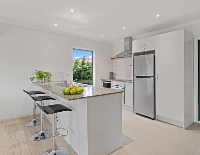 10b Landon Place Pukekohe_2