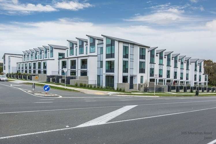 305 Murphys Road Flat Bush_0