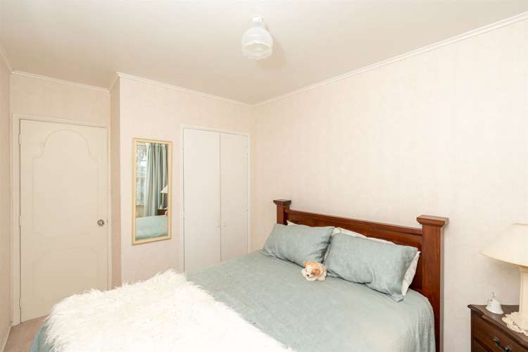 65 Poaka Avenue Dinsdale_10