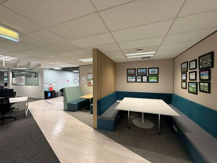 111 Carlton Gore Road Newmarket_6