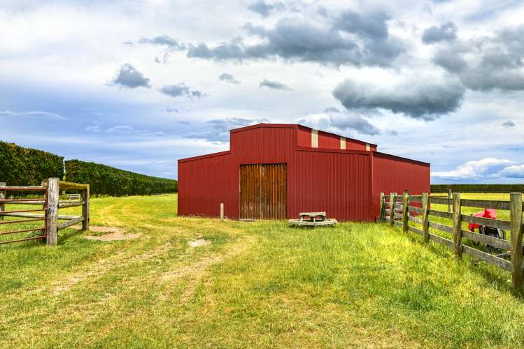 1495 Telegraph Road Darfield_18