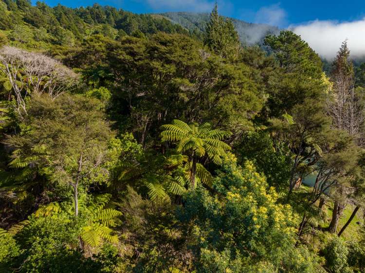 Lot 11 Whatanihi Bay Pelorus Sound_20