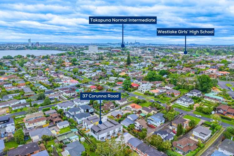 37B Corunna Road Milford_31