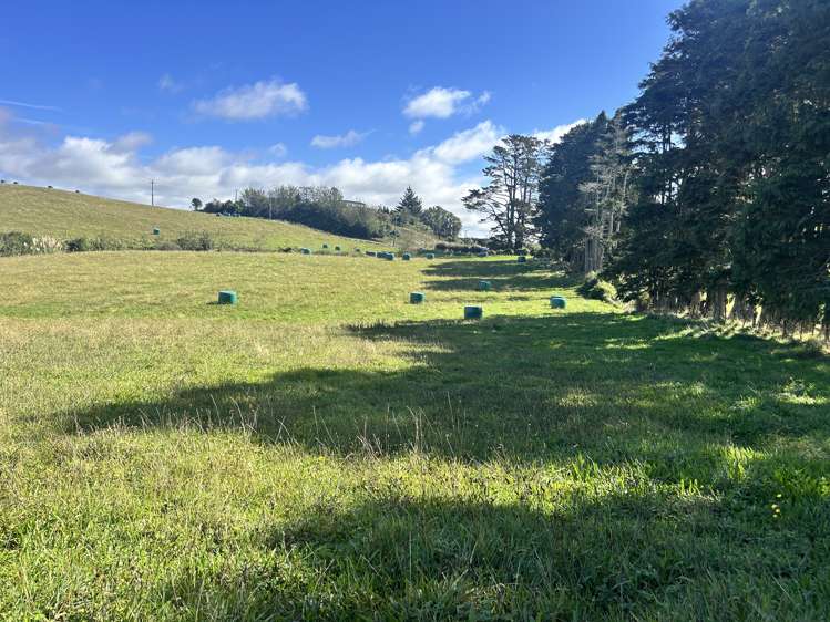 Near 741 Upland Road Egmont Village_6