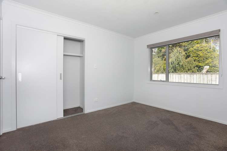 43 Wilson Street Bulls_13